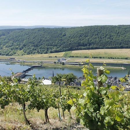 Ferienhaus Moselblick Mit Kostenfreien Oepnv-Ticket 乌尔齐希 外观 照片