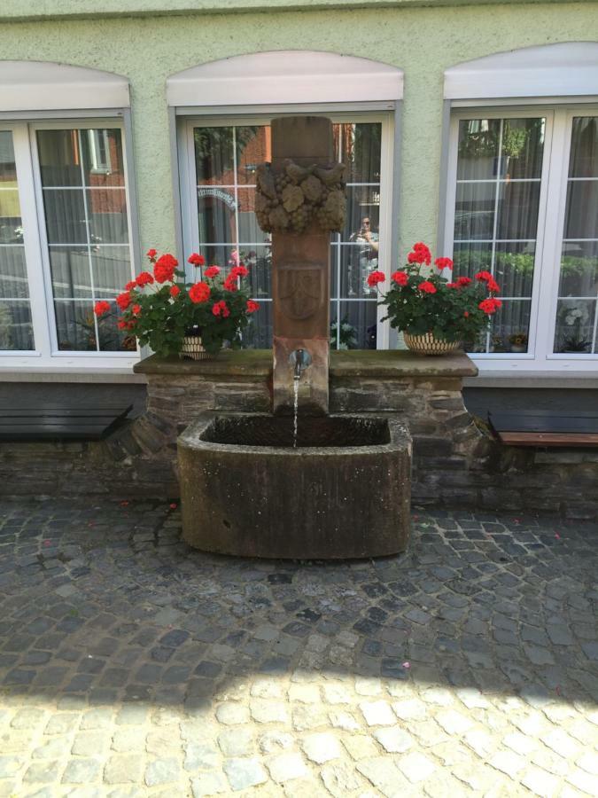Ferienhaus Moselblick Mit Kostenfreien Oepnv-Ticket 乌尔齐希 外观 照片