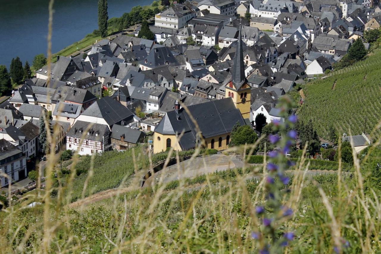 Ferienhaus Moselblick Mit Kostenfreien Oepnv-Ticket 乌尔齐希 外观 照片